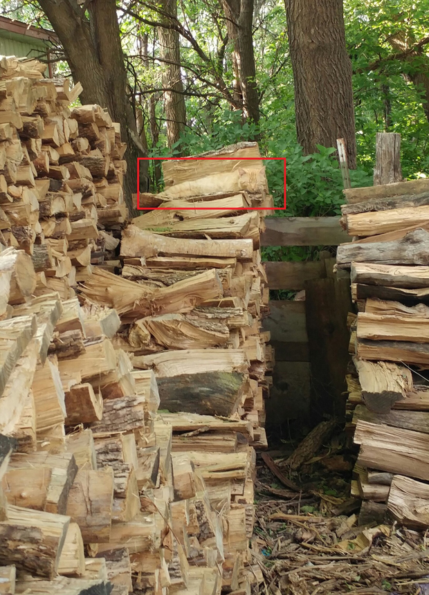Puzzle fans are saying this cat is harder to spot than usual. Photo / Reddit